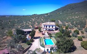 Huerta Carrión, Finca en El Pedroso